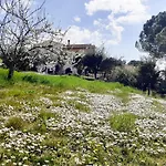 Vakantieboerderij Borgo De' Muracci
