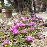 Borgo De' Muracci Ribolla