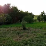 Vakantieboerderij Borgo De' Muracci