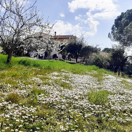 Farma Borgo De' Muracci