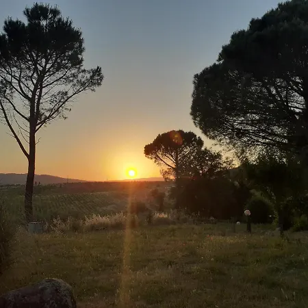 Farma Borgo De' Muracci *