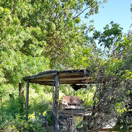 Farma Borgo De' Muracci *