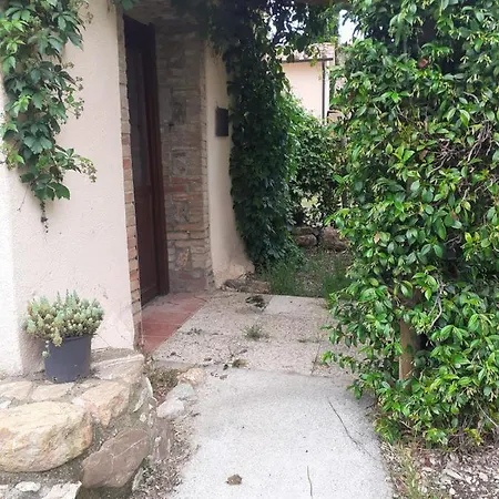 Borgo De' Muracci * Ribolla