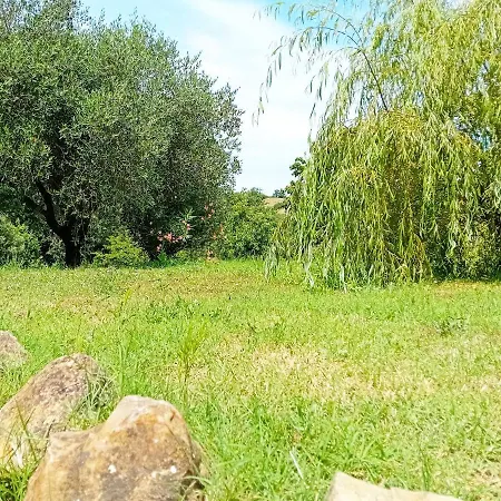 Farm stay Borgo De' Muracci Ribolla