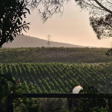Borgo De' Muracci Farm stay