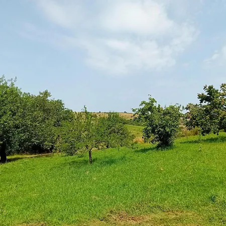 Borgo De' Muracci Farma