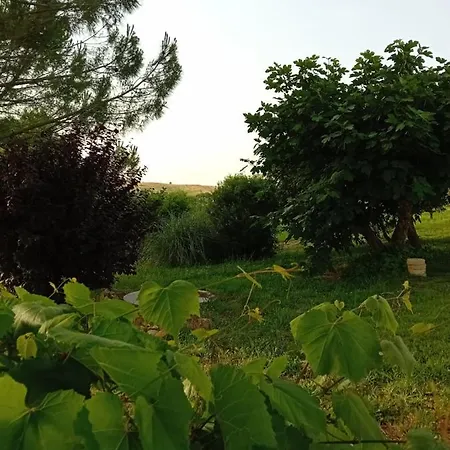 Farma Borgo De' Muracci