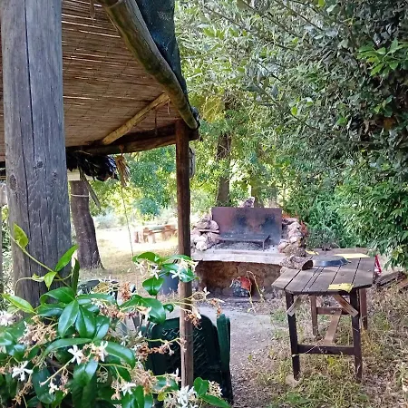 Borgo De' Muracci Farma Ribolla