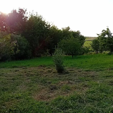 Farma Borgo De' Muracci