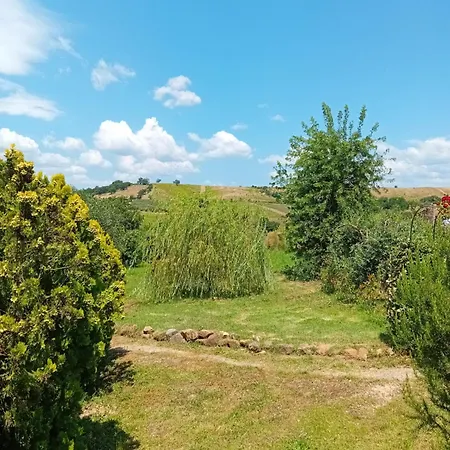 Farm stay Borgo De' Muracci *