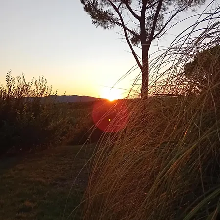 Borgo De' Muracci Bauernhof *