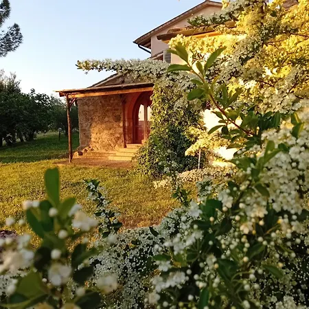Borgo De' Muracci Alloggio per agriturismo Ribolla