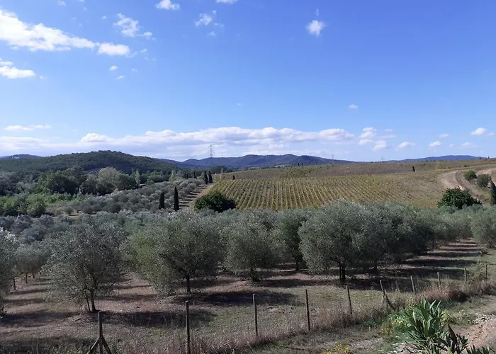 팜스테이 Borgo De' Muracci