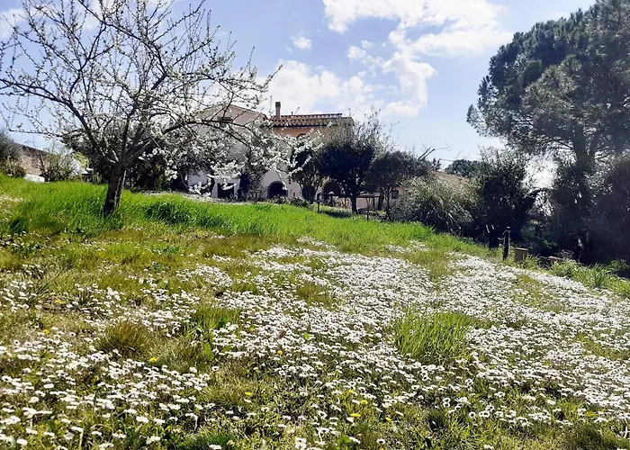 팜스테이 Borgo De' Muracci