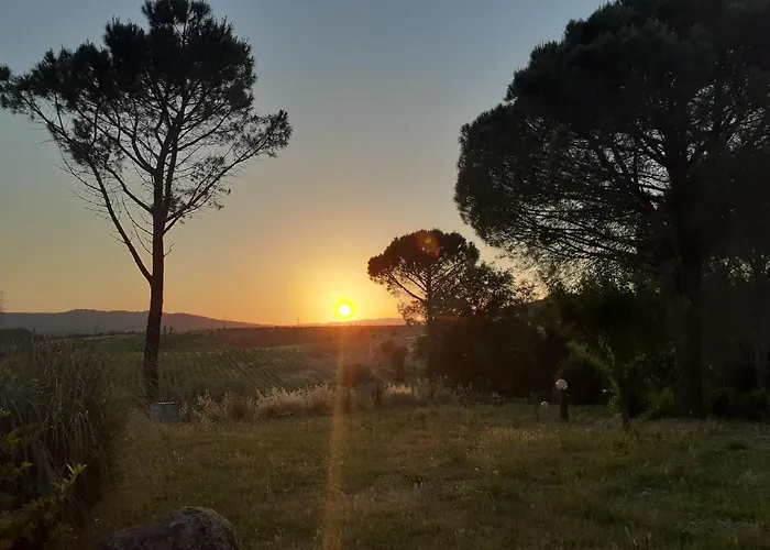 팜스테이 Borgo De' Muracci *