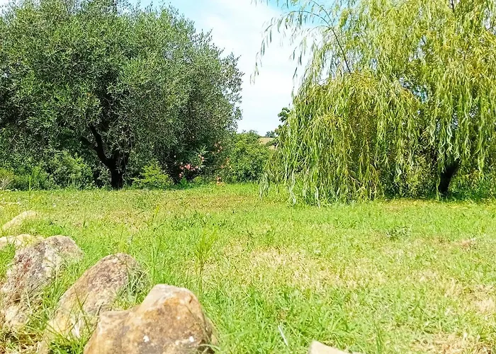 팜스테이 Borgo De' Muracci Ribolla