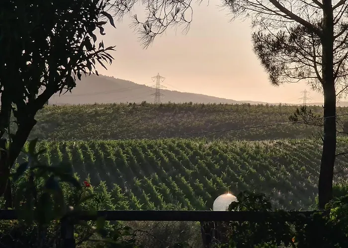 Borgo De' Muracci 팜스테이