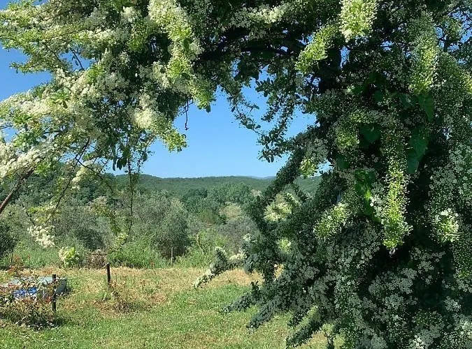 Borgo De' Muracci *