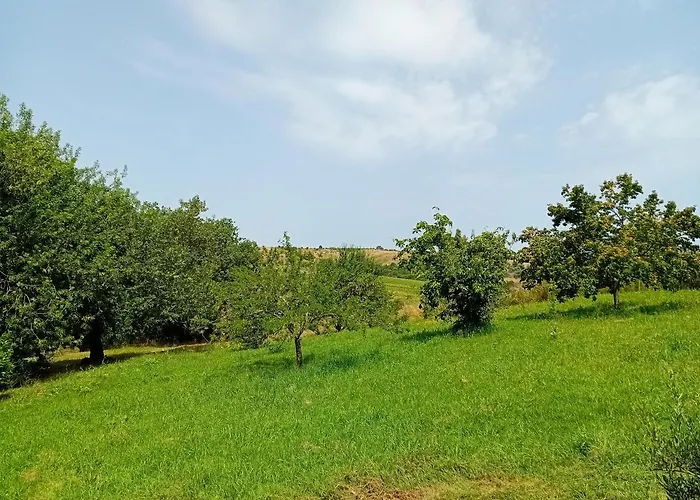 Borgo De' Muracci 팜스테이