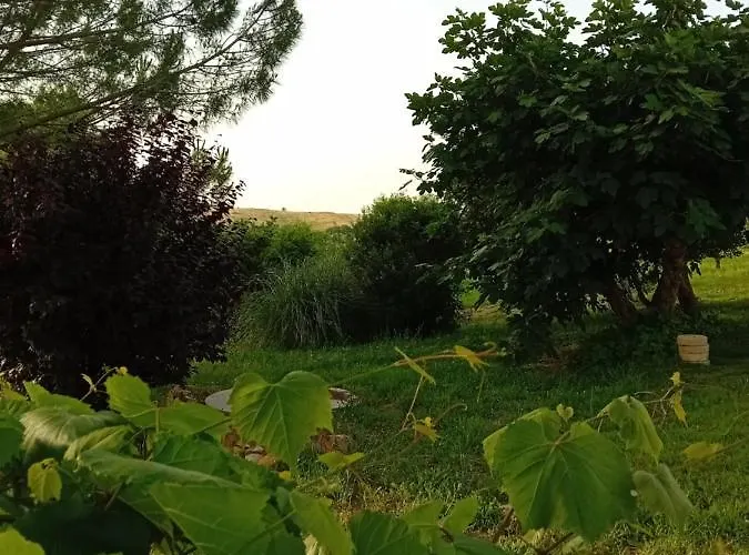 팜스테이 Borgo De' Muracci