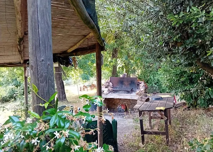 Borgo De' Muracci 팜스테이 Ribolla