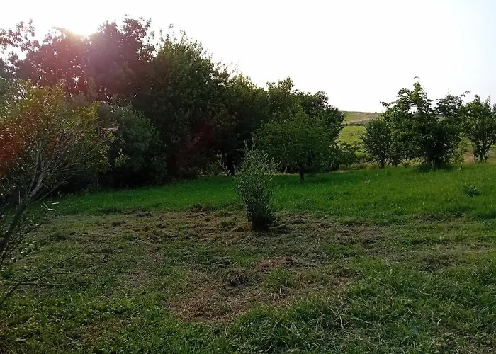 팜스테이 Borgo De' Muracci